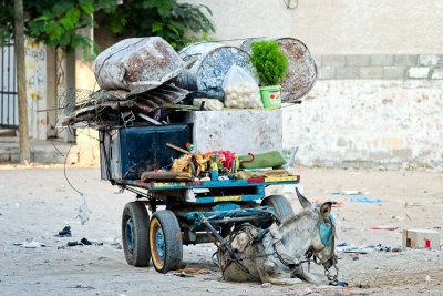 Donkey and cart - Gaza