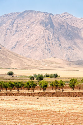 Rural Iran