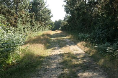 Saint-Guerin