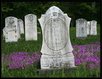 Altona Cemetery 3