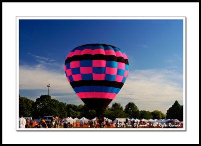 Eyes to the Skies Festival