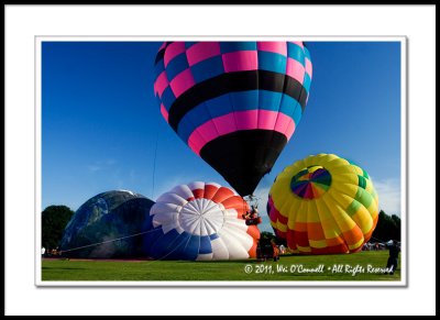 Eyes to the Skies Festival