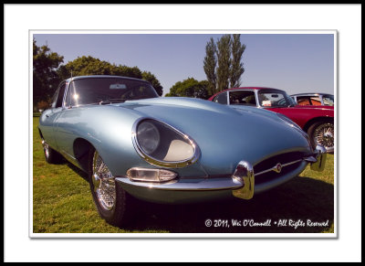 E-Type Jaguars