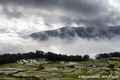 Yuanyang Rice Terraces