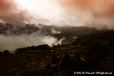 Yuanyang, Yunnan 2012