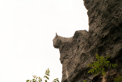 Spectacular of the Stone Forest 2006