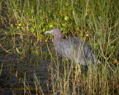 september_2011