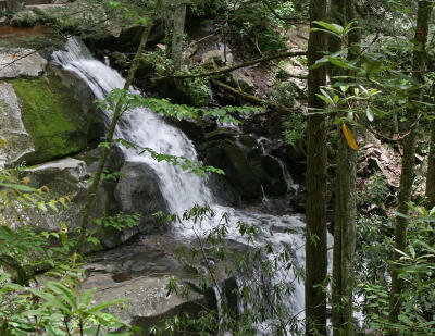 Laurel Falls 02.jpg