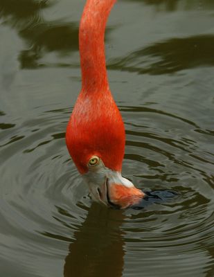 There has to be food Here Somewhere.jpg