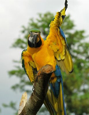 LTHey Take My Picture.jpg