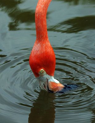 LTThere has to be food Here Somewhere.jpg