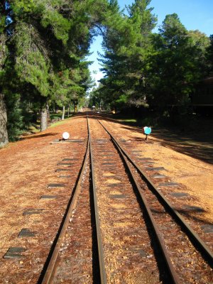 2011