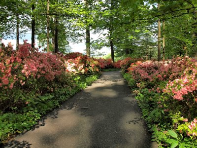 The Gardens at Winterthur Museum and Gardens