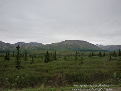 g4/55/662155/3/136668641.Ghhz5fD1.jpg