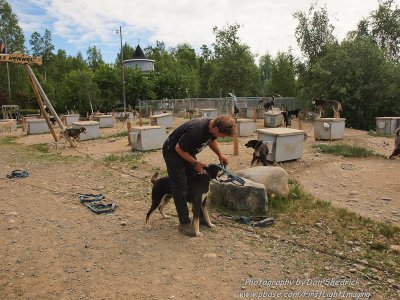 Happy Trails Kennel