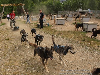 Happy Trails Kennel