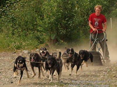 Happy Trails Kennel