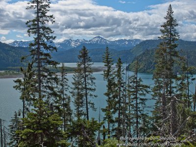Halibut Cove from Saddle Trail