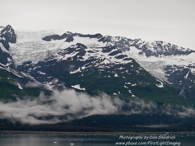 Crusing College Fjord