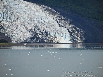 Crusing College Fjord Wellesley Glacier