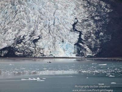 Crusing College Fjord Wellesley Glacier