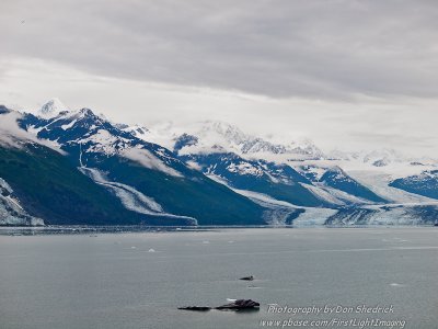 Crusing College Fjord