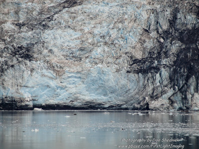 Crusing College Fjord Bryn Mawr Glacier