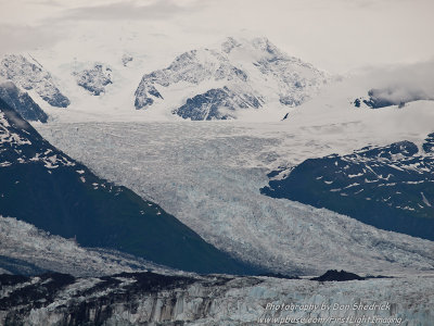 Harvard Glacier