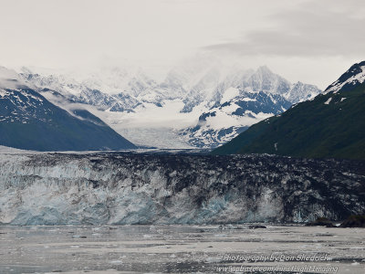 Harvard Glacier