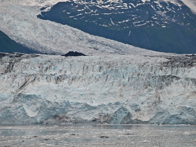 Harvard Glacier