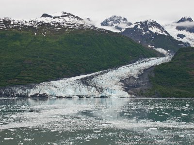 Crusing College Fjord Smith Glacier