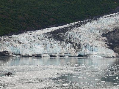 Crusing College Fjord Smith Glacier