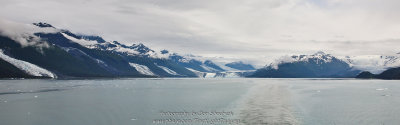 Crusing College Fjord Panorama