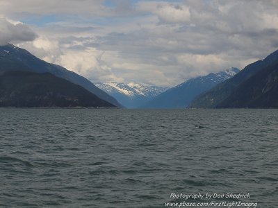 Looking up Taiya Inlet Towards Skagway