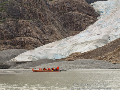 Davidson Glacier