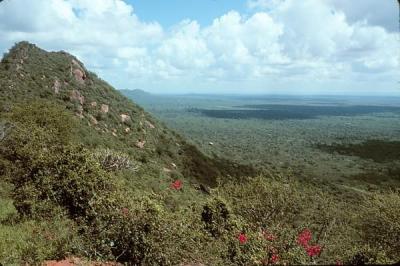 tsavo ngulia escarpment.