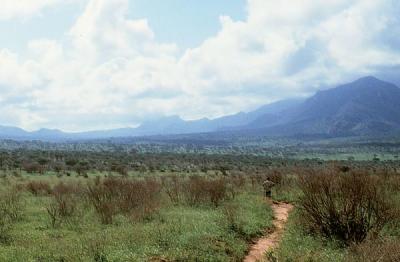 tsavo valley