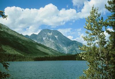 Grand Tetons Jenny's Lake