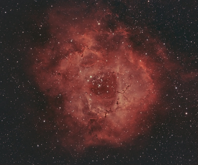 NGC2237 Ha [OIII] BiColor