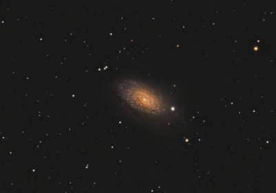 g4/55/727855/3/135351010.mkLbU3MR.jpg