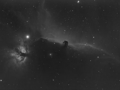 B33_6-1200_DD-full.jpg