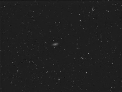 NGC3953.jpg