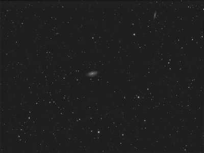 NGC3953.jpg