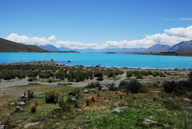 Lake Tekapo