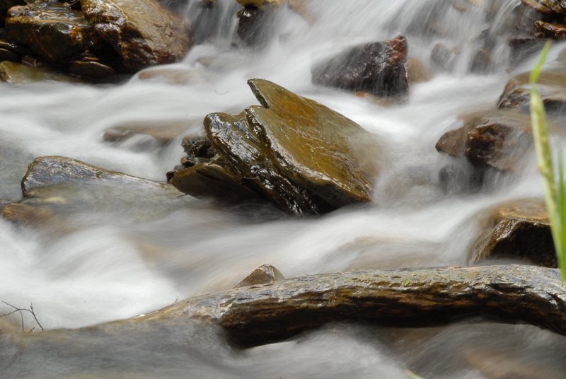 H2O