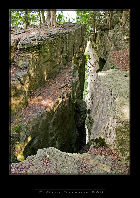 IGP2275 copy.jpg