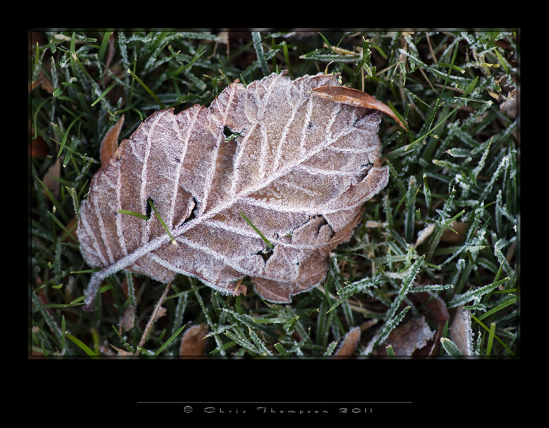 IGP0088 copy.jpg