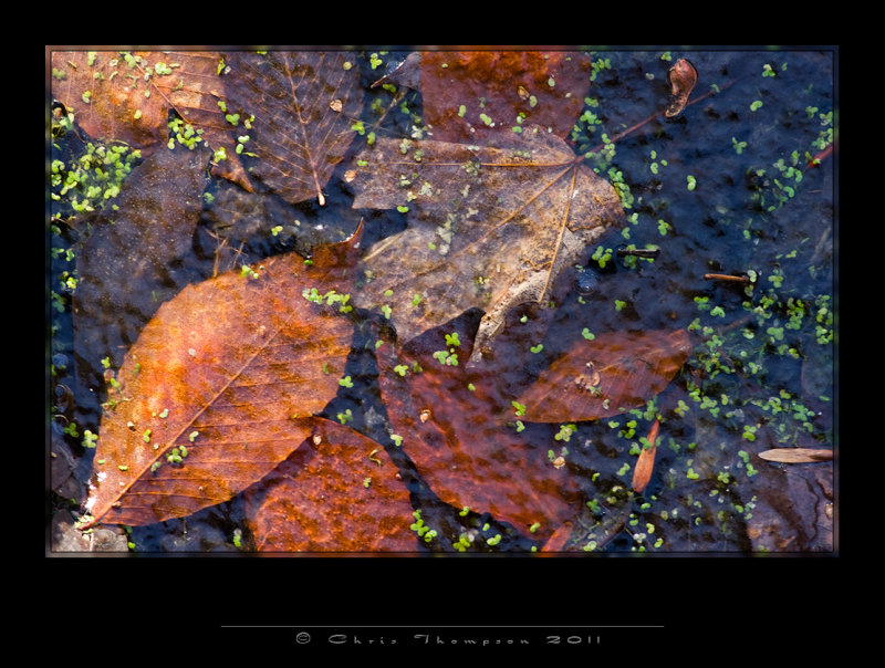 IGP0093 copy.jpg