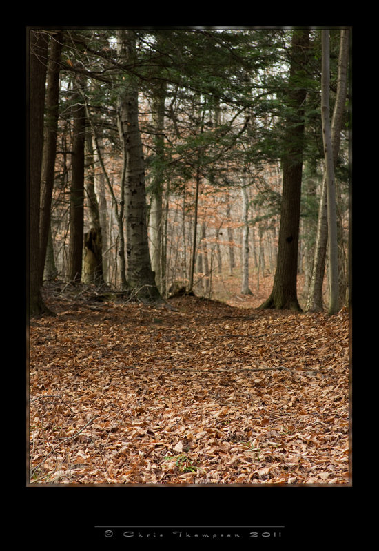 IGP0105 copy.jpg