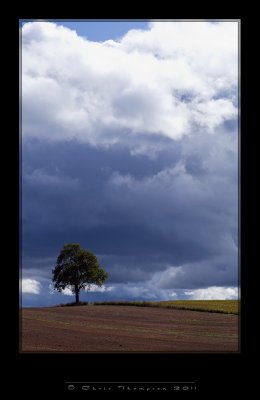 IGP2385 copy.jpg